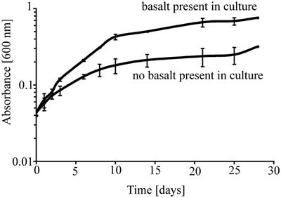 Submarine Basaltic Glass Colonization by the Heterotrophic Fe(II)-Oxidizing and Siderophore-Producing Deep-Sea Bacterium Pseudomonas stutzeri VS-10: The Potential Role of Basalt in Enhancing Growth